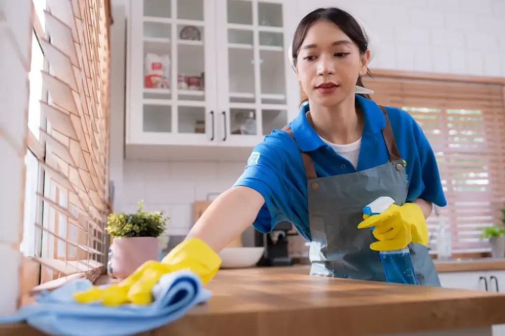 Home Cleaning Services